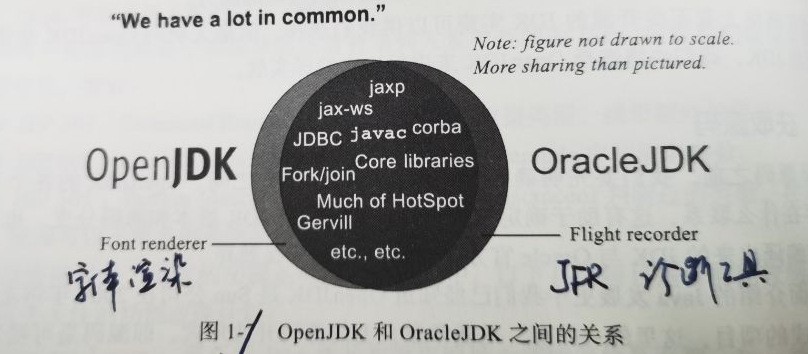 image-20211224103519227